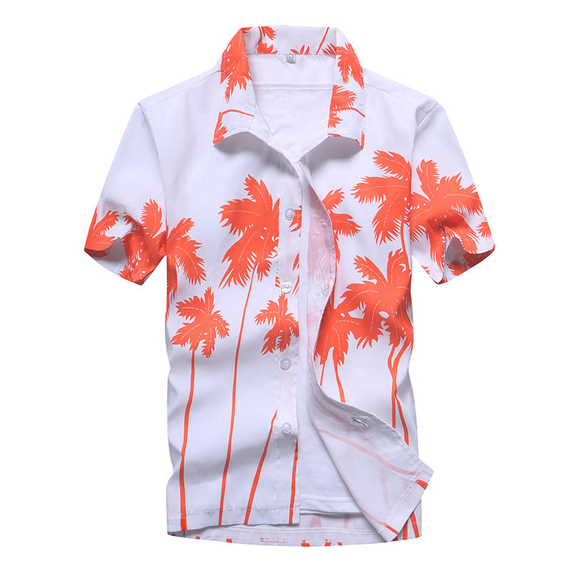 497551d1b1dcb575f3069f8be575d7b8